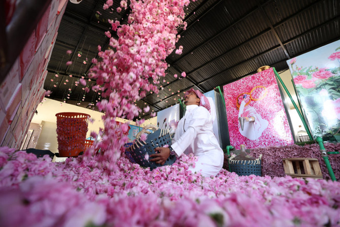 ターイフでは毎年5億5000万本以上の花が収穫され、収穫期は45日から60日間続く。(AFP写真)