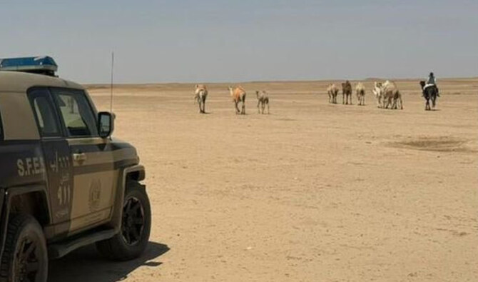 サウジアラビア当局は、環境や野生生物への攻撃となる可能性のある活動を報告するよう国民に呼びかけている。(X:@SFES_KSA)