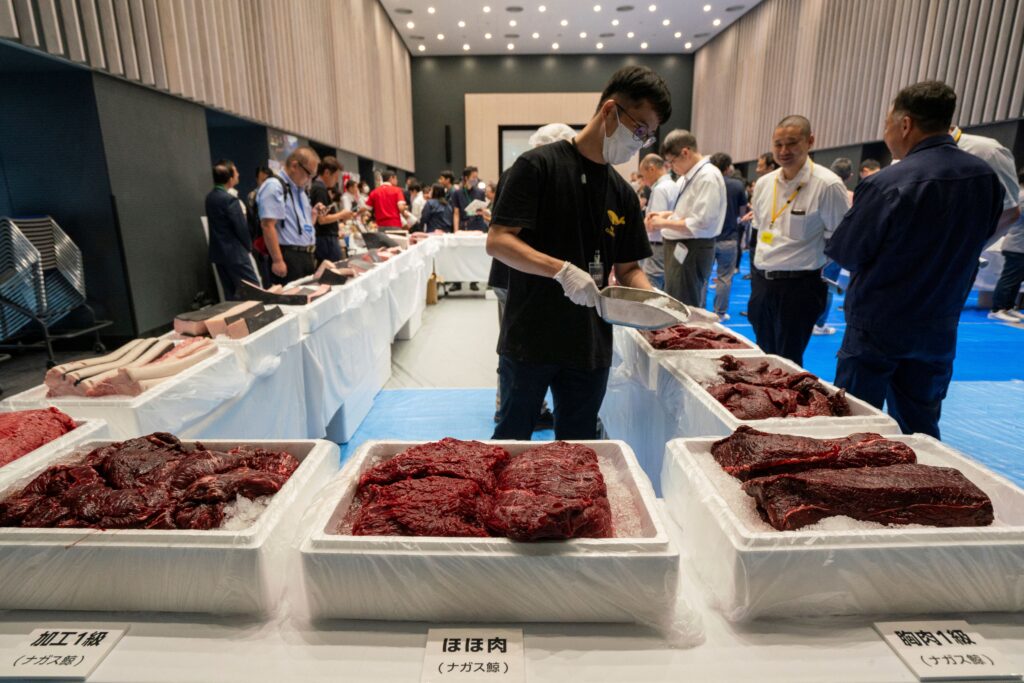 心臓の塊、尾の切り身、脂身の塊など、鯨のほぼすべての部位が展示されていた。(AFP)